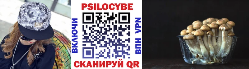 купить закладку  блэк спрут как зайти  Псилоцибиновые грибы ЛСД  Тара 