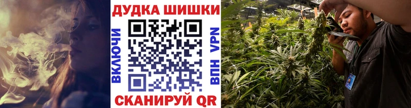 blacksprut рабочий сайт  Тара  Канабис Amnesia 